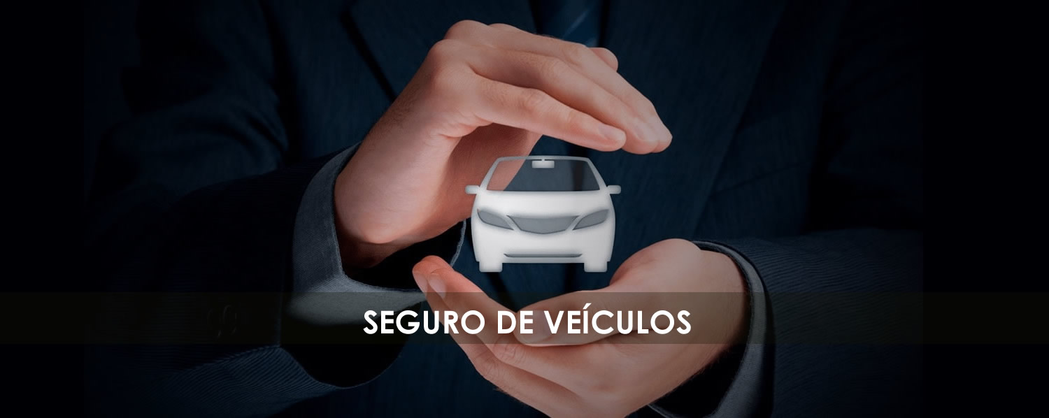 Seguro de Veículos