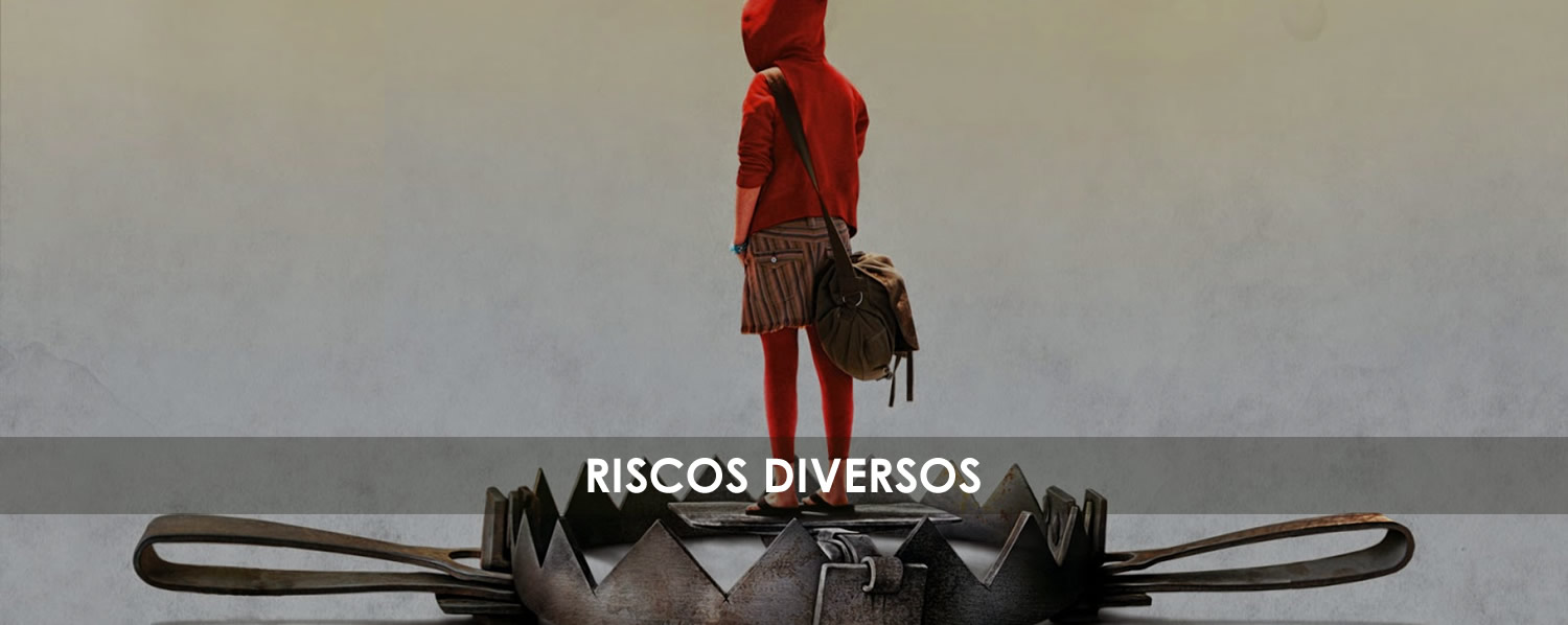 Riscos Diversos